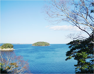 お部屋からの絶景